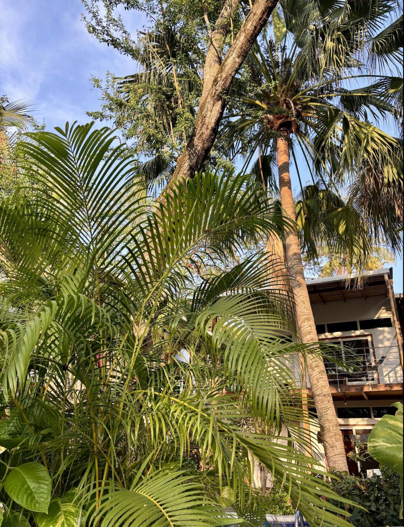 Eco Del Mar Villa Ла Либертад Екстериор снимка